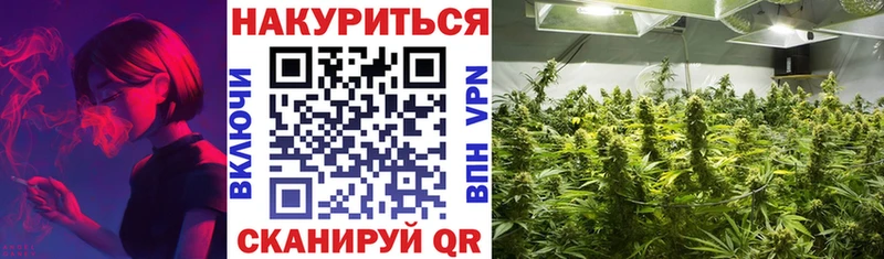 Конопля индика  Сертолово 